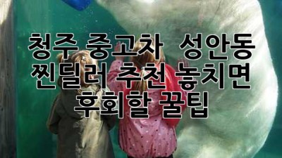 청주 중고차 🚗💨 성안동 찐딜러 추천! 놓치면 후회할 꿀팁🍯
