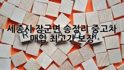 세종시 장군면 송정리 중고차 매입 최고가 보장!