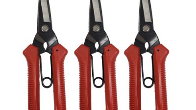 ✨ 초특가! 철자르는가위 솔직 후기 & 구매 꿀팁 대방출! ✂️
